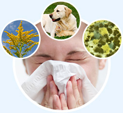 How an Home Air Cleaner Can Help Your Seasonal Allergies